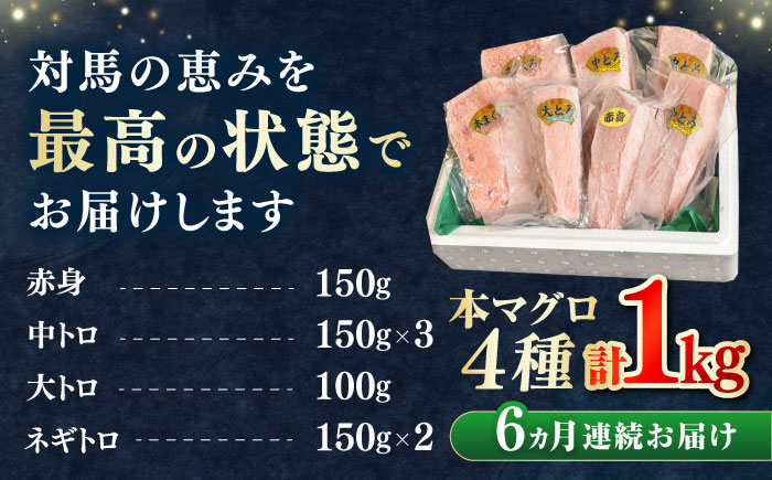 【全6回定期便】対馬産 本マグロ 4種 計1kg（赤身/中トロ/大トロ/ネギトロ）《対馬市》【対海】[WAH007] マグロ まぐろ 鮪 本鮪 本マグロ 養殖 トロ 中トロ 中とろ 大トロ 大とろ 赤身 ねぎとろ ネギトロ たたき 刺身 冷凍 海鮮 魚 柵 お祝い 贈答 定期便 毎月届く
