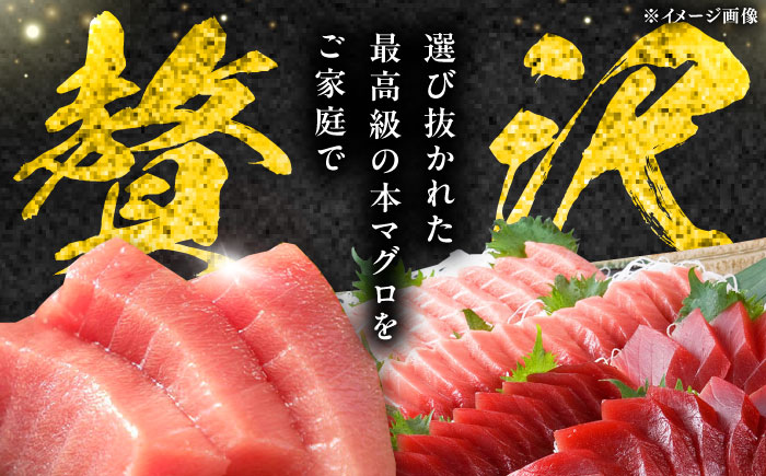 【全2回定期便】対馬産 本マグロ 4種 計1kg（赤身/中トロ/大トロ/ネギトロ）《対馬市》【対海】 新鮮 マグロ 鮪 本鮪 赤身 中トロ 大トロ ネギトロ 海鮮 冷凍 [WAH030]