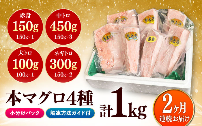 【全2回定期便】対馬産 本マグロ 4種 計1kg（赤身/中トロ/大トロ/ネギトロ）《対馬市》【対海】 新鮮 マグロ 鮪 本鮪 赤身 中トロ 大トロ ネギトロ 海鮮 冷凍 [WAH030]
