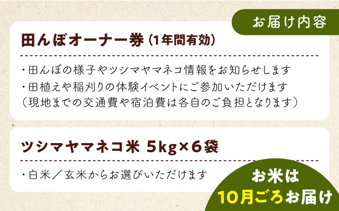 対馬 佐護 ツシマヤマネコ 米 田んぼオーナー1年券【ツシマヤマネコ米30kg付き】（対馬市）【一般社団法人MIT】 米作り体験 田植え 体験 稲刈り 離島 チケット 新米 [WAP015]