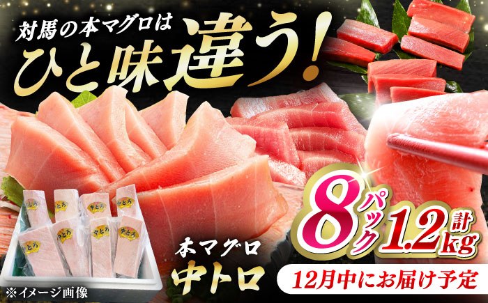 【12月中にお届け】対馬産 養殖 本マグロ 中トロ 1.2kg(8パック)《対馬市》【対海】マグロ 鮪 まぐろ 本鮪 中とろ [WAH020-12]