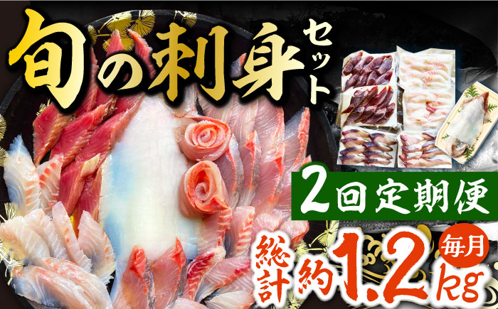 【全2回定期便】対馬 イカ 姿造り と 刺身 の セット 【真心水産】《対馬市》新鮮 海鮮 いか 冷凍 刺身 ケンサキイカ 島魚 海鮮丼 手巻き寿司 [WAK025]