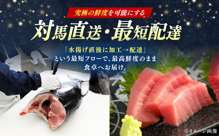【全2回定期便】対馬産 本マグロ 4種 計1kg（赤身/中トロ/大トロ/ネギトロ）《対馬市》【対海】 新鮮 マグロ 鮪 本鮪 赤身 中トロ 大トロ ネギトロ 海鮮 冷凍 [WAH030]