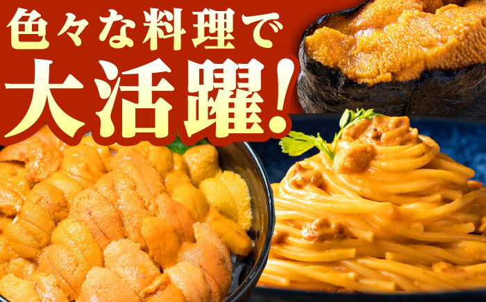 【全3回定期便】 対馬産 生うに 60g×2本 《対馬市》【保家商事】 うに ウニ 雲丹 生ウニ 海鮮 海産物 [WAA043]