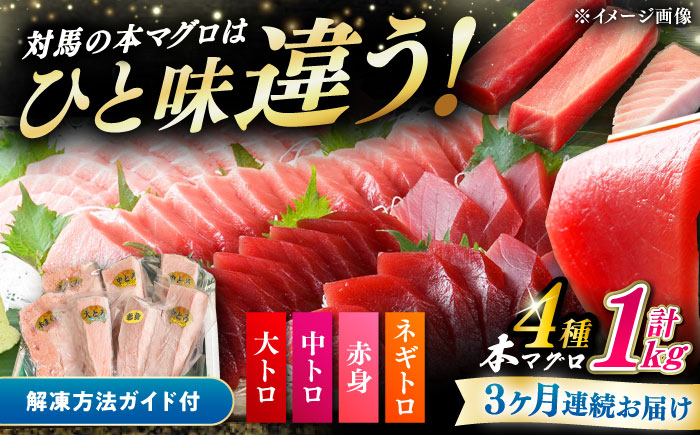 【全3回定期便】対馬産 本マグロ 4種 計1kg（赤身/中トロ/大トロ/ネギトロ）《対馬市》【対海】[WAH006] マグロ まぐろ 鮪 本鮪 本マグロ 養殖 トロ 中トロ 中とろ 大トロ 大とろ 赤身 ねぎとろ ネギトロ たたき 刺身 冷凍 海鮮 魚 柵 お祝い 贈答 定期便 毎月届く