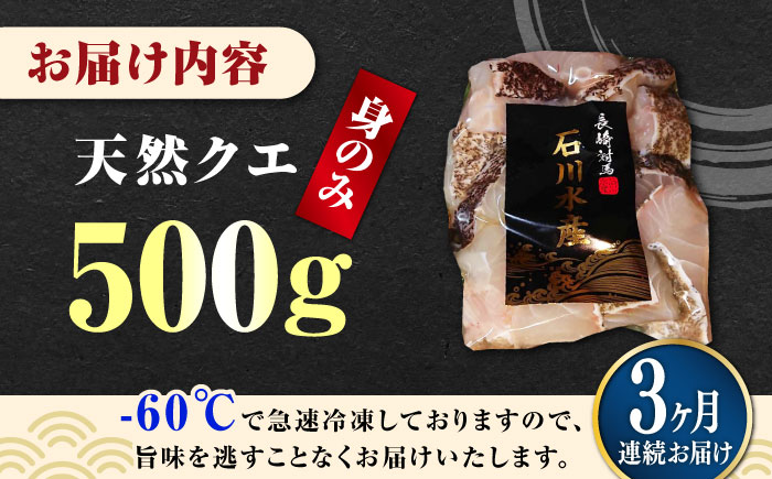 【全3回定期便】【 対馬産 】 天然 クエ 500g （身のみ）《対馬市》【石川水産】 鍋 水炊き 鮮度抜群 海鮮 クエ 天然クエ [WAB018]