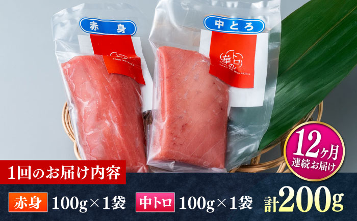 【全12回定期便】対馬産 本マグロ 200g（赤身100g、中トロ100g） ≪対馬市≫【桐谷商店】 トロの華 対馬 新鮮 マグロ 赤身 トロ 鮪 刺身 [WAQ062]
