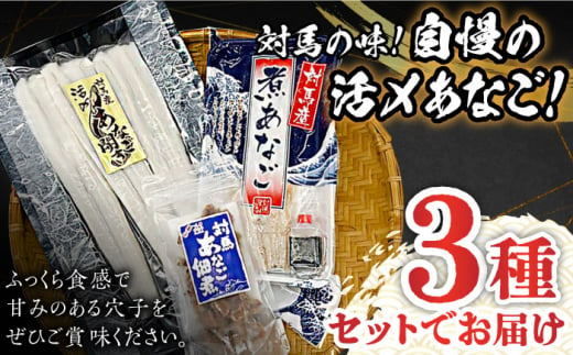 【全12回定期便】対馬 産 活〆 あなご セット《対馬市》【対馬地域商社】九州 長崎 煮あなご 佃煮 アナゴ [WAC020]冷凍 新鮮 あなご 穴子 下処理 寿司 あなご重 天ぷら おかず もう1品 おつまみ おにぎり ちらし寿司 海鮮 魚介 長崎 対馬 揚げ物 定期便 毎月届く