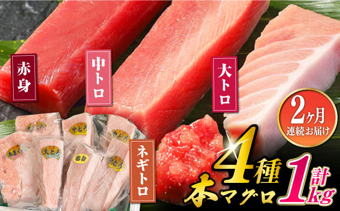 【全2回定期便】対馬産 本マグロ 4種 計1kg（赤身/中トロ/大トロ/ネギトロ）《対馬市》【対海】 新鮮 マグロ 鮪 本鮪 赤身 中トロ 大トロ ネギトロ 海鮮 冷凍 [WAH030]