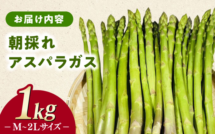 【3月中旬以降順次発送】朝採れアスパラガス１kg 《対馬市》【農家くんのアスパラファーム】  冷蔵 アスパラ とれたて 新鮮 野菜 産地直送 [WCT001]