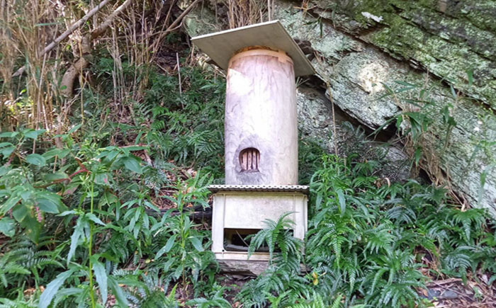 対馬天然和蜂 蜂蜜≪対馬市≫【海風商事】　ハチミツ 蜂蜜 天然 お歳暮 ギフト [WAD052]