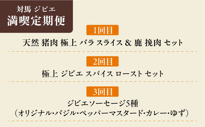 対馬 ジビエ 満喫定期便《対馬市》【一般社団法人 daidai】 冷凍配送 焼肉 赤身 肉 お肉 鹿肉 猪肉 BBQ ヘルシー プレゼント [WBH051]