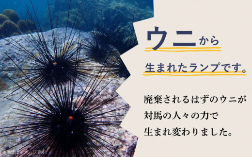 充電式ウニホタルテーブルランプ《対馬市》【一般社団法人MIT】対馬 インテリア 間接照明 手作り [WAP007]