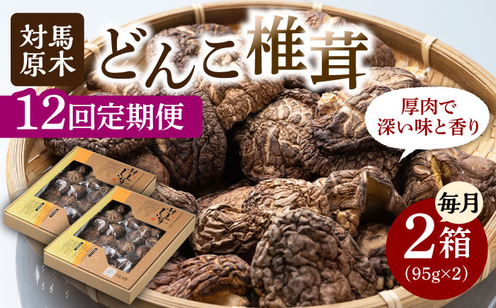 【全12回定期便】対馬 原木 どんこ 椎茸 95g×2箱《対馬市》【うえはら株式会社】 対馬産 肉厚 しいたけ 乾燥 きのこ 贈り物 [WAI059]