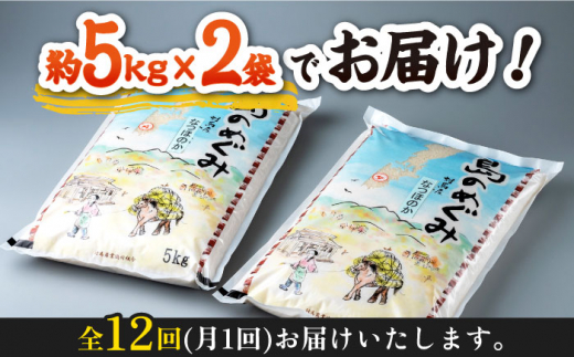 【先行予約】【全12回定期便】対馬産「 なつほのか 」10kg 5kg×2【2024年10月以降順次発送】【対馬農業協同組合】《対馬市》 白米 米 お米 ご飯 ごはん 新米 10kg 10キロ 産地直送 ランキング 送料無料 贈答用 定期便 [WBM008]