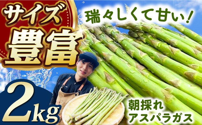 訳あり！朝採れアスパラガス2kg 《対馬市》【農家くんのアスパラファーム】  冷蔵 アスパラ とれたて 新鮮 野菜　産地直送 [WCT002]