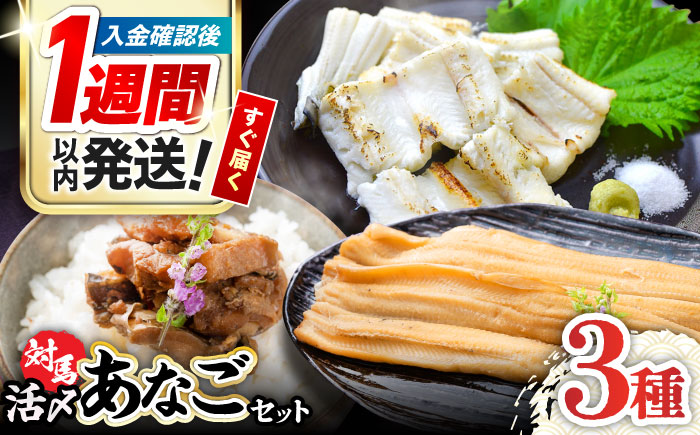 【1週間以内発送】対馬 産 活〆 あなご セット《対馬市》【対馬地域商社】九州 長崎 煮あなご 佃煮 アナゴ [WAC001]冷凍 新鮮 あなご 穴子 下処理 寿司 あなご重 天ぷら おかず もう1品 おつまみ おにぎり ちらし寿司 海鮮 魚介 長崎 対馬 スピード発送 最速発送 最短発送