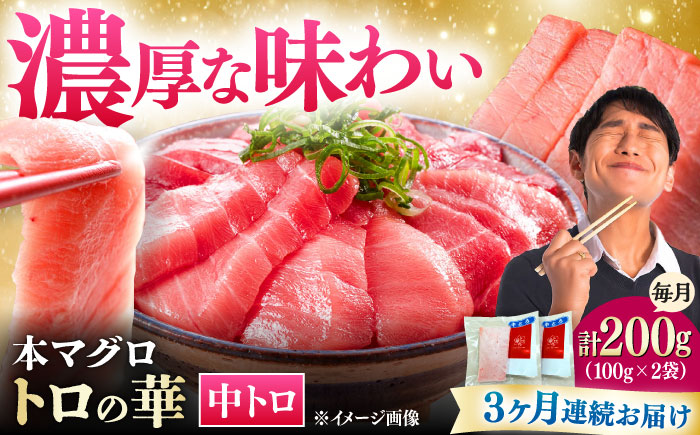 【全3回定期便】対馬産 本マグロ 中トロ200g ≪対馬市≫【桐谷商店】 トロの華 対馬 新鮮 マグロ 中トロ トロ 鮪 刺身 [WAQ120]