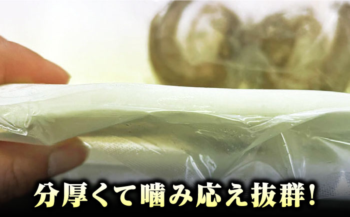 イカの王様！ アオリイカ 刺身用 約1kg（2～3枚入） 《対馬市》【対馬新鮮組】 高級 肉厚 水いか 新鮮 海鮮 冷凍配送 [WCS004]