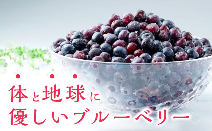 【最速発送】対馬産 ブルーベリー 600g×2袋 計1.2kg（ 冷凍 ） 【さほの里ファーム 】《 対馬市 》 小粒　離島 対馬 無農薬 有機肥料 旬 果物 フルーツ [WBG011]