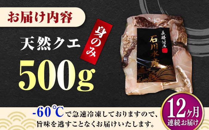 【全12回定期便】【 対馬産 】 天然 クエ 500g （身のみ）《対馬市》【石川水産】 鍋 水炊き 鮮度抜群 海鮮 クエ 天然クエ [WAB020]