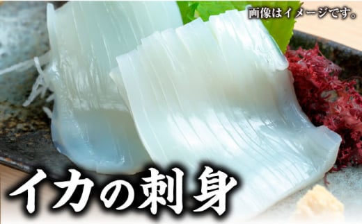 【 対馬産 】 クエ 鍋 セット・ 剣先 イカ 詰め合わせ セット《対馬市》【石川水産】 水炊き 鮮度抜群 海鮮 [WAB005]天然くえ 高級魚 鍋 海鮮鍋 剣先いか 刺身 煮付け 魚 新鮮 クエ 希少 人気 ランキング 冷凍 対馬 長崎 九州 つしま 対馬市 海鮮 魚介 簡単調理