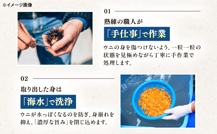対馬産 生ウニ 1本 《対馬市》【いか吉工房】 うに 海鮮 雲丹 ウニ ムラサキウニ 紫ウニ [WBO003]