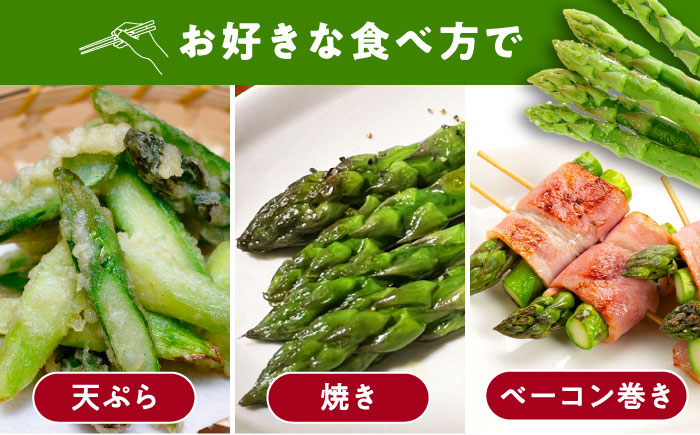 【3月中旬以降順次発送】朝採れアスパラガス１kg 《対馬市》【農家くんのアスパラファーム】  冷蔵 アスパラ とれたて 新鮮 野菜 産地直送 [WCT001]