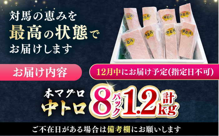 【12月中にお届け】対馬産 養殖 本マグロ 中トロ 1.2kg(8パック)《対馬市》【対海】マグロ 鮪 まぐろ 本鮪 中とろ [WAH020-12]