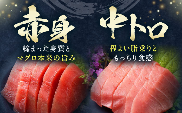【全3回定期便】対馬産 本マグロ 400g（赤身200g、中トロ200g） ≪対馬市≫【桐谷商店】 トロの華 対馬 新鮮 マグロ 赤身 トロ 鮪 刺身 [WAQ064]