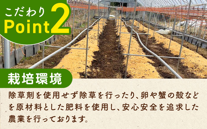 【先行予約】訳あり！朝採れアスパラガス１kg 【3月中旬以降順次発送】《対馬市》【農家くんのアスパラファーム】  冷蔵 アスパラ とれたて 新鮮 野菜　産地直送 1万円 10000円 [WCT001]