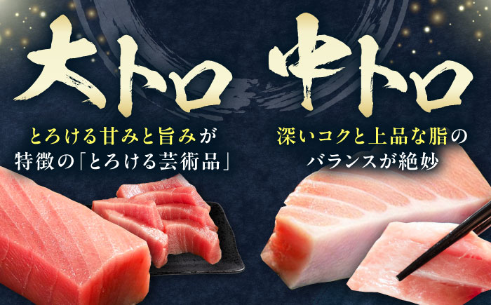 【全2回定期便】対馬産 本マグロ 4種 計1kg（赤身/中トロ/大トロ/ネギトロ）《対馬市》【対海】 新鮮 マグロ 鮪 本鮪 赤身 中トロ 大トロ ネギトロ 海鮮 冷凍 [WAH030]