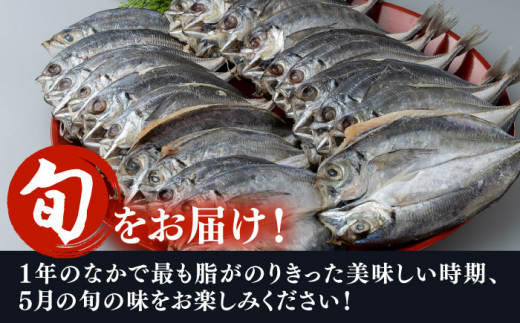 【全3回定期便】対馬 五月 真あじ 一汐干し 20枚 《 対馬市 》【 うえはら株式会社 】新鮮 アジ 干物 海産物 朝食 冷凍 [WAI060]