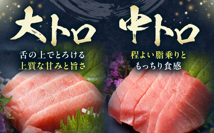 対馬産 本マグロ 500g（赤身200g、中トロ200g、大トロ100g）≪対馬市≫【桐谷商店】 トロの華 対馬 新鮮 マグロ 大トロ 鮪 刺身 鮮度抜群 [WAQ055]