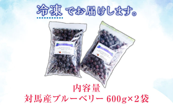 【先行予約】大容量 対馬産 ブルーベリー 1.2kg（ 冷凍 ）【2025年7月上旬以降順次発送】【 さほの里ファーム 】《 対馬市 》 有機 旬 果物 フルーツ [WBG001]