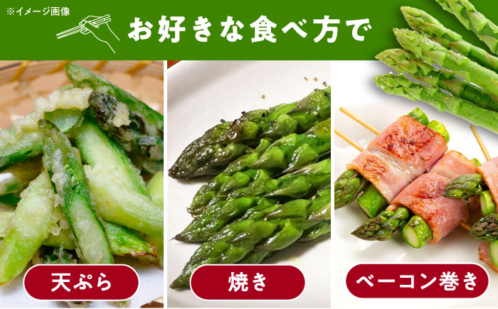 朝採れ アスパラガス 500g 《対馬市》【農家くんのアスパラファーム】 冷蔵 アスパラ とれたて 新鮮 野菜 産地直送 [WCT003]