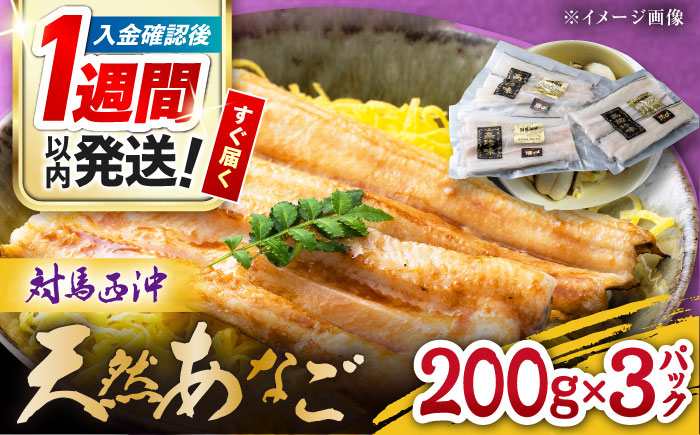 【1週間以内発送】対馬産 西沖あなご 200g×3パック《対馬市》【保家商事】 あなご アナゴ 穴子 海鮮 海産物 魚介 人気 ランキング 冷凍 対馬 長崎 九州 贈答 魚 煮穴子 肉厚 [WAA005] スピード発送 最速発送 最短発送