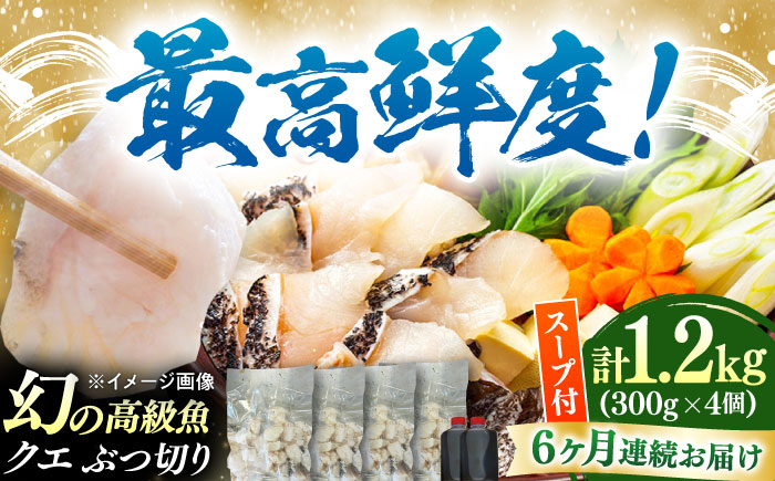 【全6回定期便】対馬産 クエ ぶつ切り 1.2kg 鍋用スープ付《対馬市》【島本水産】高級魚 新鮮 肉厚 本格的 海鮮 鍋セット フライ 煮付け アラ [WBI020]