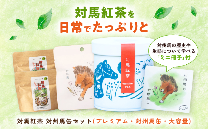 対馬紅茶 対州馬セット（缶・プレミアム・大容量） 《対馬市》 【つしま大石農園】 紅茶 ティー お茶 飲料 [WBE020]
