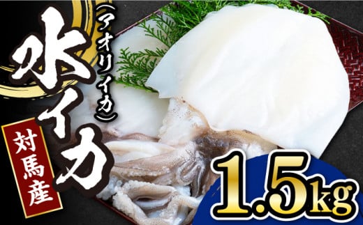 【 対馬産 】水 イカ （ アオリイカ ） 生 冷凍 1.5kg 《対馬市》【石川水産】刺身 塩辛 鮮度抜群 海鮮 [WAB009]冷凍 新鮮 下処理 刺身 煮付け 塩焼き 海鮮 あおりいか おつまみ もう1品 真空パック 簡単調理 アオリイカ 対馬 長崎