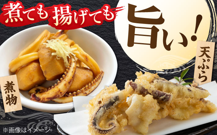 ヤリイカ お刺身用 500g 《対馬市》【海風商事】 小分け 刺身 いか イカ ヤリイカ 新鮮 海鮮 冷凍 [WAD053]