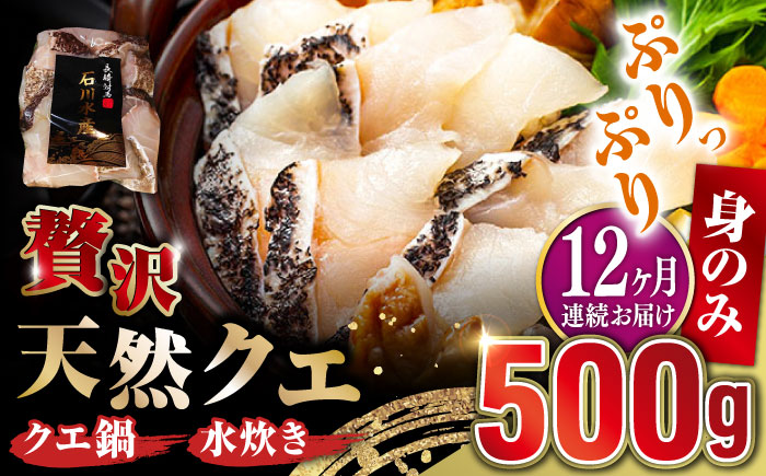 【全12回定期便】【 対馬産 】 天然 クエ 500g （身のみ）《対馬市》【石川水産】 鍋 水炊き 鮮度抜群 海鮮 クエ 天然クエ [WAB020]