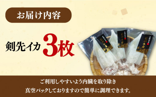 【対馬産】 剣先 イカ 生 冷凍（ 訳アリ ）3枚【石川水産】《対馬市》  新鮮 肉厚 海鮮 簡単調理 シロイカ ケンサキイカ 刺身 訳あり 規格外 [WAB012]九州 長崎 対馬 いか 剣先いか あかいか BBQ イカ焼き バーベキュー 簡単 ワケアリ わけあり 下処理 