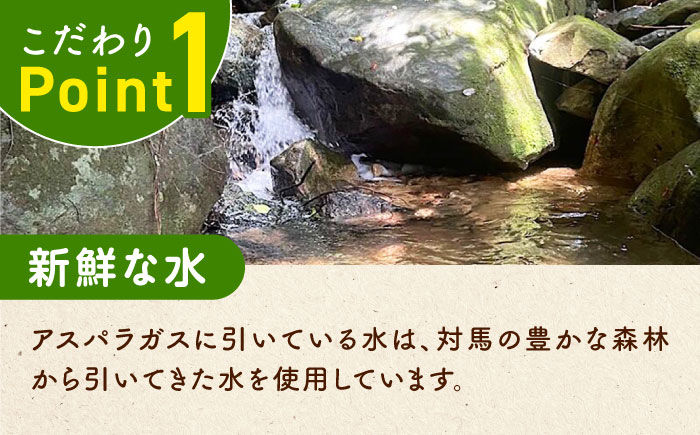 【先行予約】訳あり！朝採れアスパラガス１kg 【3月中旬以降順次発送】《対馬市》【農家くんのアスパラファーム】  冷蔵 アスパラ とれたて 新鮮 野菜　産地直送 1万円 10000円 [WCT001]