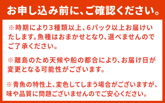 【全2回定期便】対馬 イカ 姿造り と 刺身 の セット 【真心水産】《対馬市》新鮮 海鮮 いか 冷凍 刺身 ケンサキイカ 島魚 海鮮丼 手巻き寿司 [WAK025]