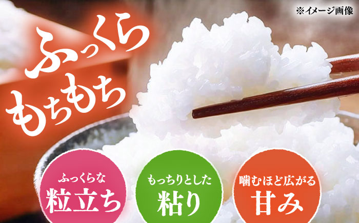 【R8年産】【2026年10月中旬頃より順次発送】特A 対馬産 にこまる 5kg×2「ほたる舞う三根川の米」 《対馬市》【永留しいたけ農園】新米 米 お米 ご飯 ごはん 白米 10kg 10キロ 産地直送 ランキング 送料無料 贈答用 特A [WAJ001]
