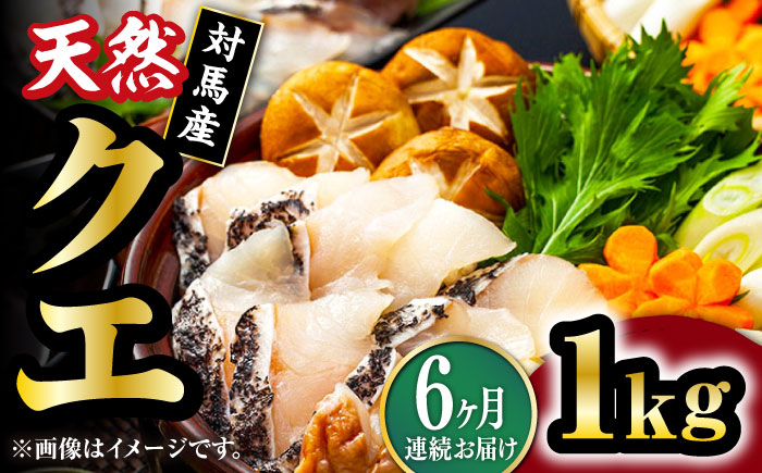 【全6回定期便】【 対馬産 】 天然 クエ 1kg（500g×2）（切り身）《対馬市》【石川水産】 鍋 水炊き 鮮度抜群 海鮮 クエ 天然クエ [WAB025]