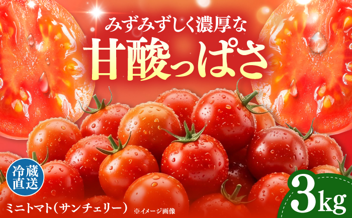 【甘みと酸味の黄金比】 ミニトマト 3kg 《対馬市》【みのり農園】 野菜 とまと [WDC003]