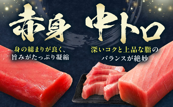 【1週間以内発送】対馬産 本マグロ 3種 計900g（赤身/中トロ/ネギトロ）《対馬市》【対海】 冷凍配送 食べ比べ 贈り物 魚介類 [WAH029] スピード発送 最速発送 最短発送