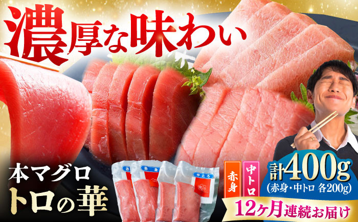 【全12回定期便】対馬産 本マグロ 400g（赤身200g、中トロ200g） ≪対馬市≫【桐谷商店】 トロの華 対馬 新鮮 マグロ 赤身 トロ 鮪 刺身 [WAQ066]